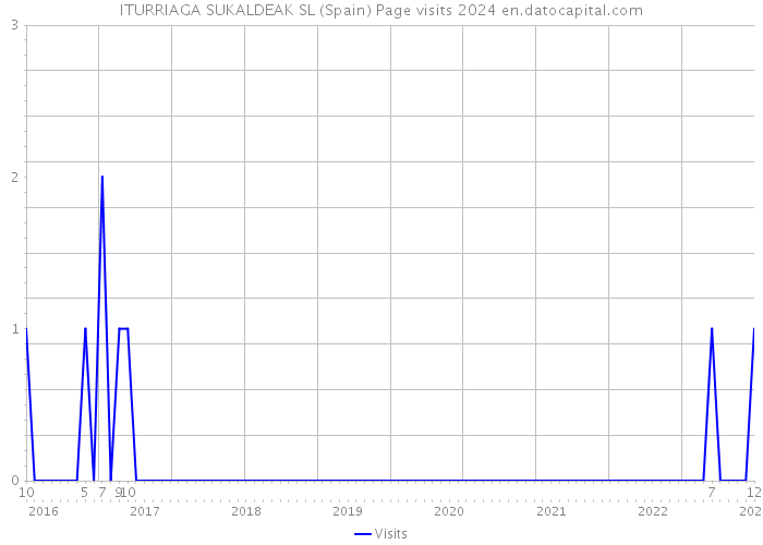 ITURRIAGA SUKALDEAK SL (Spain) Page visits 2024 