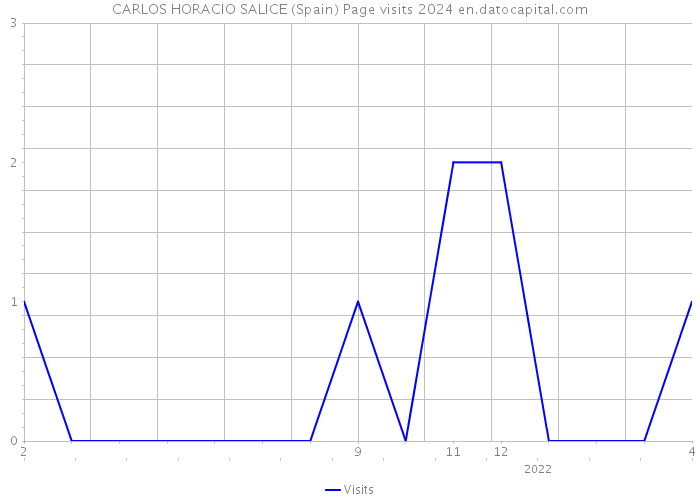 CARLOS HORACIO SALICE (Spain) Page visits 2024 