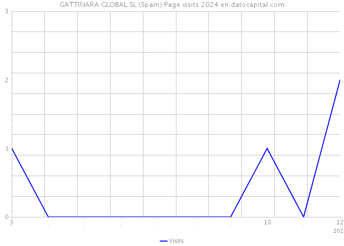 GATTINARA GLOBAL SL (Spain) Page visits 2024 
