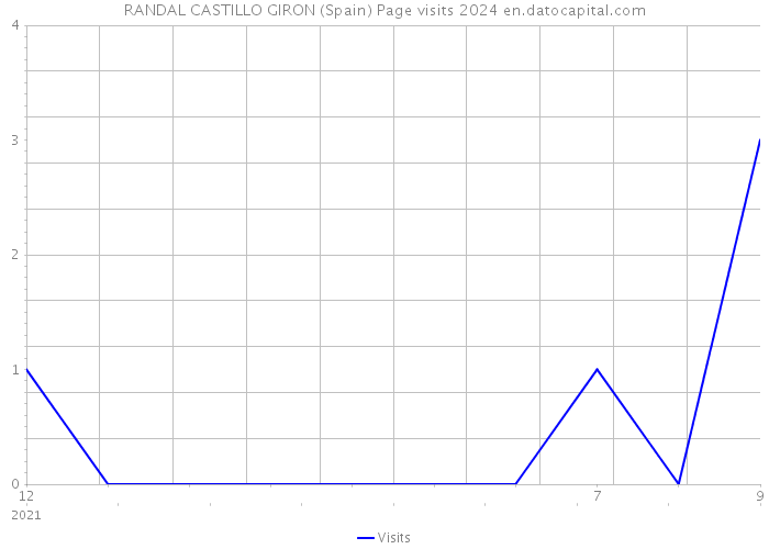 RANDAL CASTILLO GIRON (Spain) Page visits 2024 
