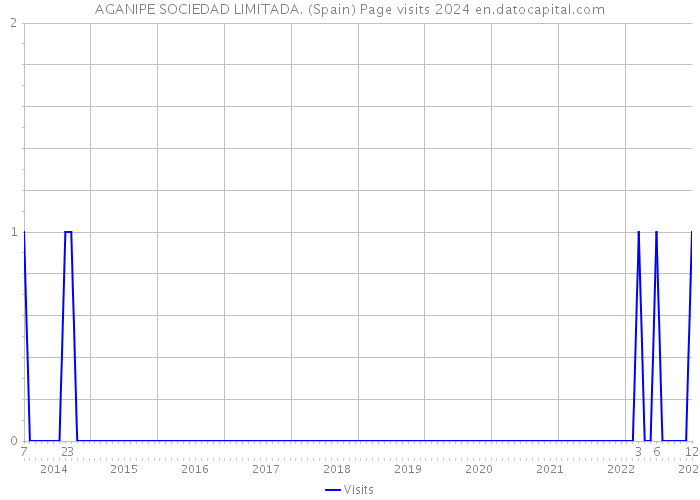 AGANIPE SOCIEDAD LIMITADA. (Spain) Page visits 2024 