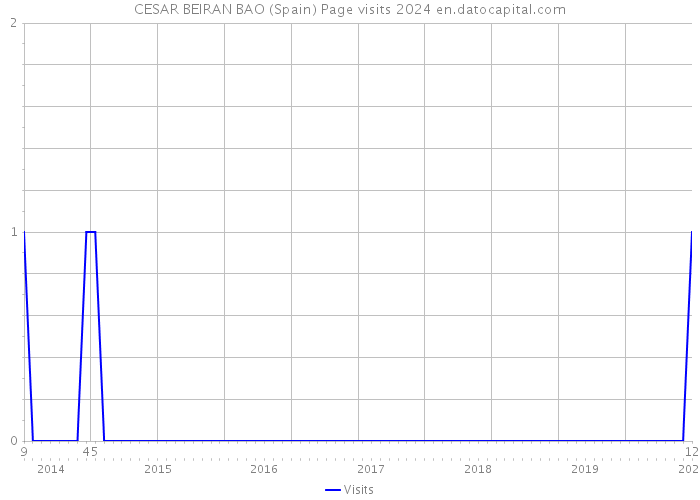 CESAR BEIRAN BAO (Spain) Page visits 2024 