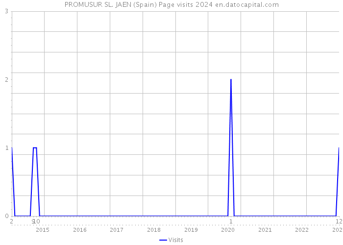 PROMUSUR SL. JAEN (Spain) Page visits 2024 