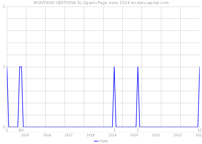 MONTANO GESTIONA SL (Spain) Page visits 2024 