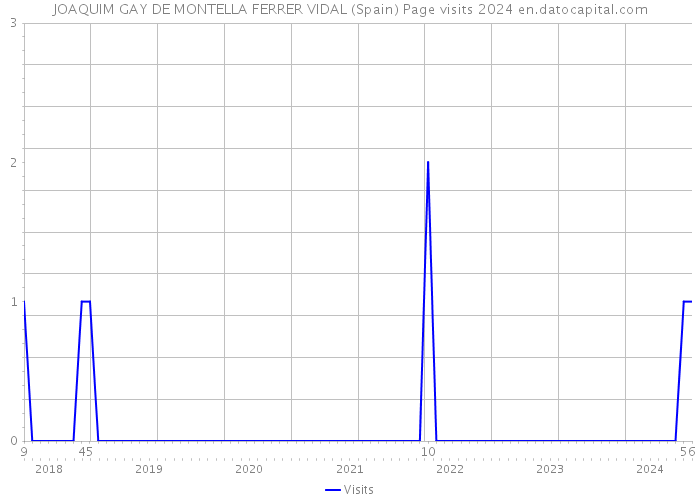 JOAQUIM GAY DE MONTELLA FERRER VIDAL (Spain) Page visits 2024 