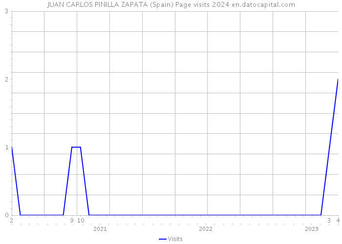 JUAN CARLOS PINILLA ZAPATA (Spain) Page visits 2024 