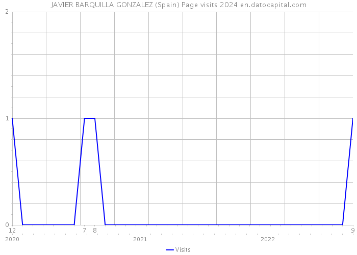 JAVIER BARQUILLA GONZALEZ (Spain) Page visits 2024 