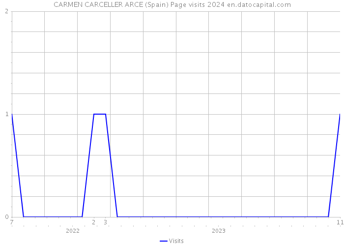 CARMEN CARCELLER ARCE (Spain) Page visits 2024 