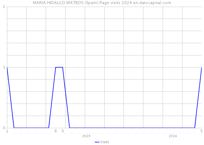 MARIA HIDALGO MATEOS (Spain) Page visits 2024 