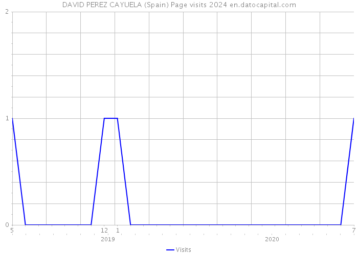 DAVID PEREZ CAYUELA (Spain) Page visits 2024 