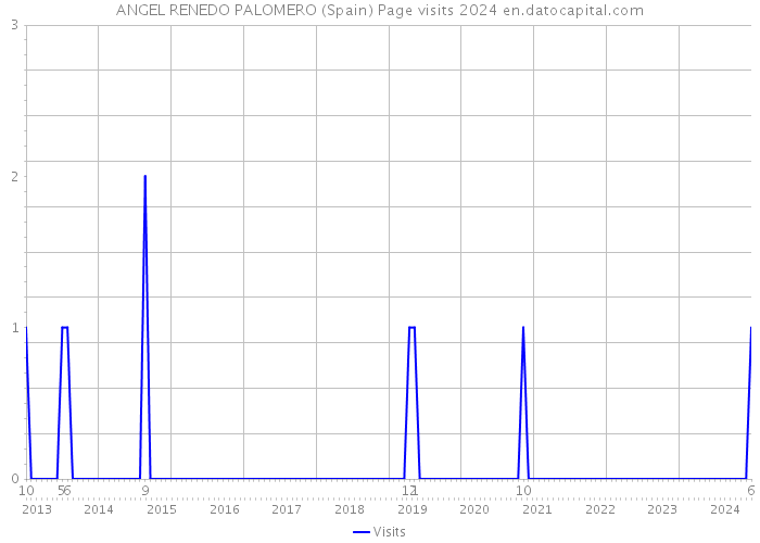 ANGEL RENEDO PALOMERO (Spain) Page visits 2024 