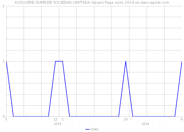 AXOUXERE OURENSE SOCIEDAD LIMITADA (Spain) Page visits 2024 