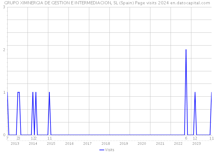 GRUPO XIMNERGIA DE GESTION E INTERMEDIACION, SL (Spain) Page visits 2024 
