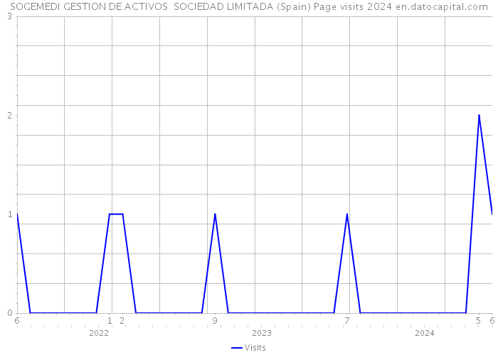 SOGEMEDI GESTION DE ACTIVOS SOCIEDAD LIMITADA (Spain) Page visits 2024 