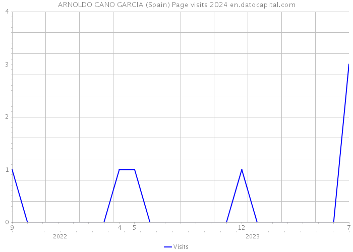 ARNOLDO CANO GARCIA (Spain) Page visits 2024 