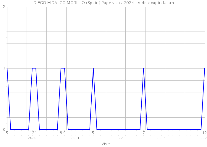 DIEGO HIDALGO MORILLO (Spain) Page visits 2024 