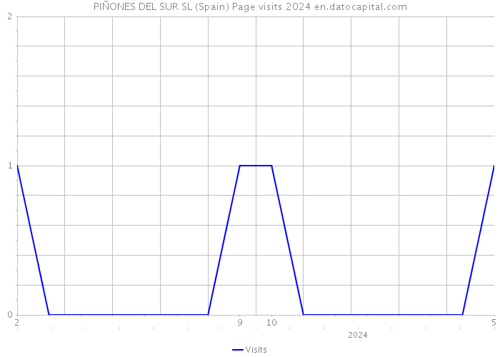 PIÑONES DEL SUR SL (Spain) Page visits 2024 