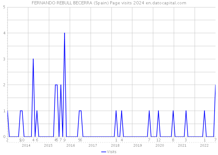 FERNANDO REBULL BECERRA (Spain) Page visits 2024 