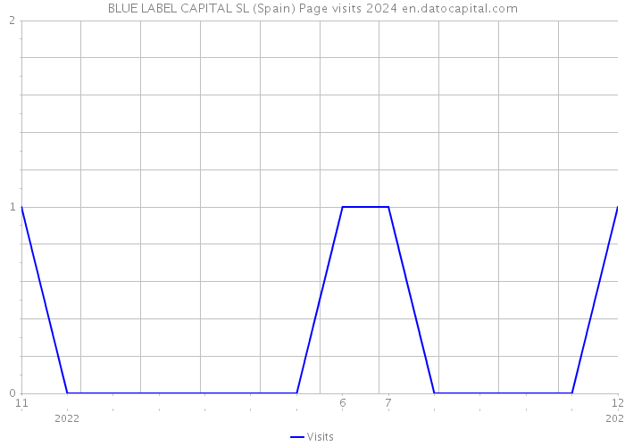 BLUE LABEL CAPITAL SL (Spain) Page visits 2024 