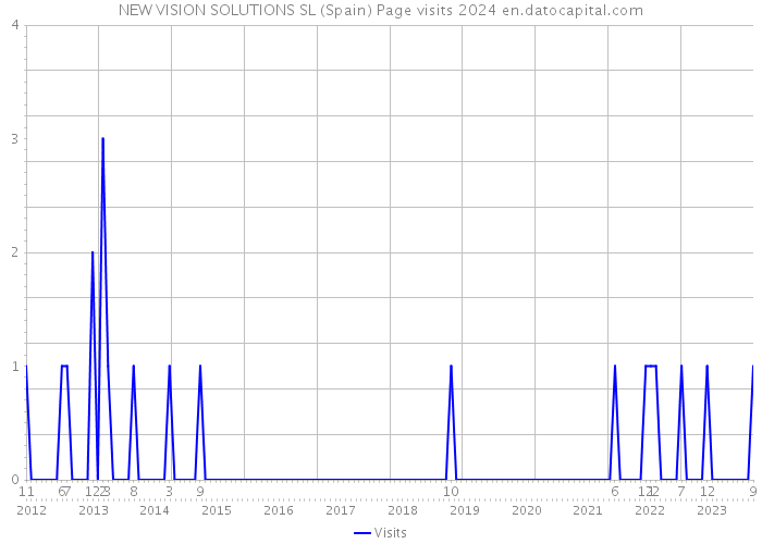 NEW VISION SOLUTIONS SL (Spain) Page visits 2024 