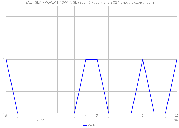 SALT SEA PROPERTY SPAIN SL (Spain) Page visits 2024 