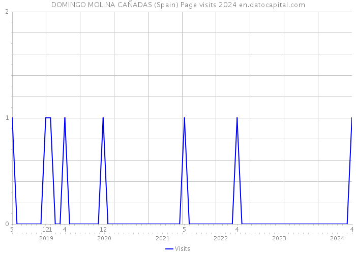 DOMINGO MOLINA CAÑADAS (Spain) Page visits 2024 