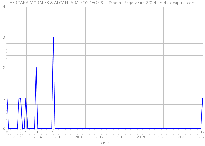 VERGARA MORALES & ALCANTARA SONDEOS S.L. (Spain) Page visits 2024 