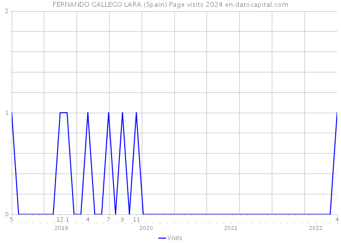 FERNANDO GALLEGO LARA (Spain) Page visits 2024 
