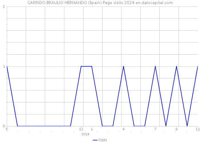 GARRIDO BRAULIO HERNANDO (Spain) Page visits 2024 