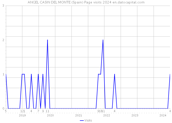ANGEL CASIN DEL MONTE (Spain) Page visits 2024 