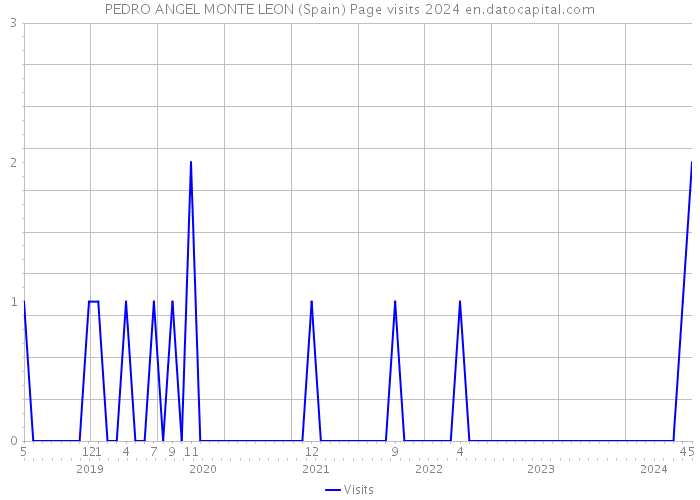 PEDRO ANGEL MONTE LEON (Spain) Page visits 2024 