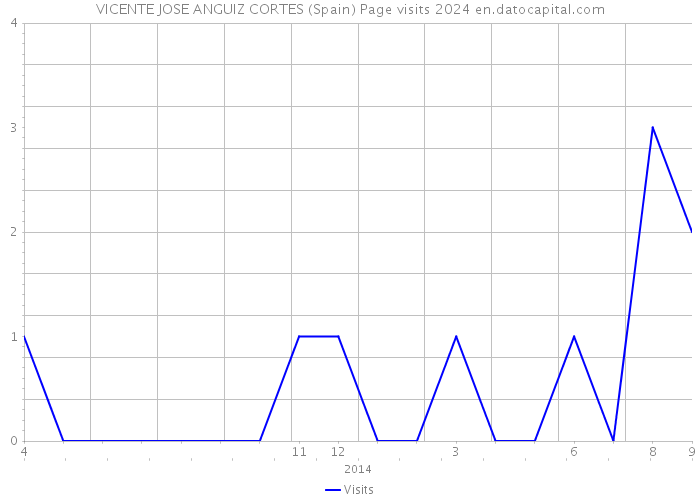 VICENTE JOSE ANGUIZ CORTES (Spain) Page visits 2024 