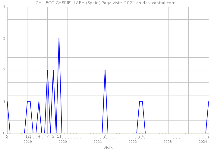 GALLEGO GABRIEL LARA (Spain) Page visits 2024 
