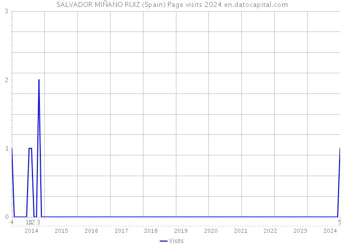 SALVADOR MIÑANO RUIZ (Spain) Page visits 2024 