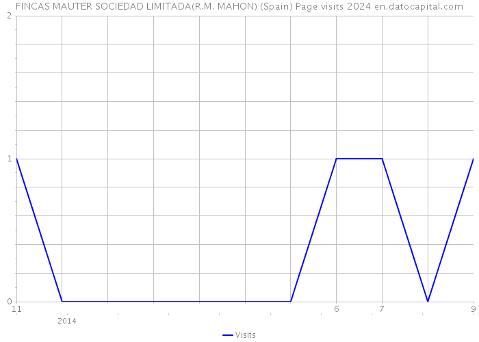 FINCAS MAUTER SOCIEDAD LIMITADA(R.M. MAHON) (Spain) Page visits 2024 