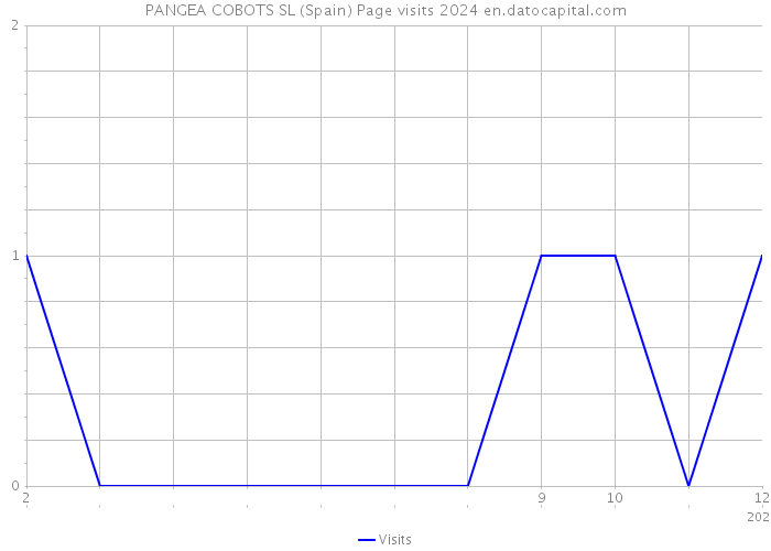 PANGEA COBOTS SL (Spain) Page visits 2024 