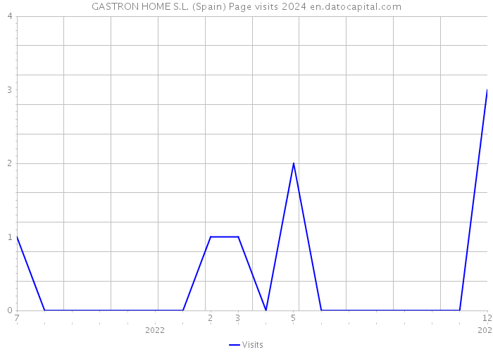 GASTRON HOME S.L. (Spain) Page visits 2024 