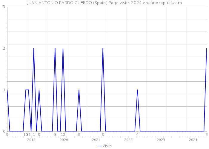 JUAN ANTONIO PARDO CUERDO (Spain) Page visits 2024 