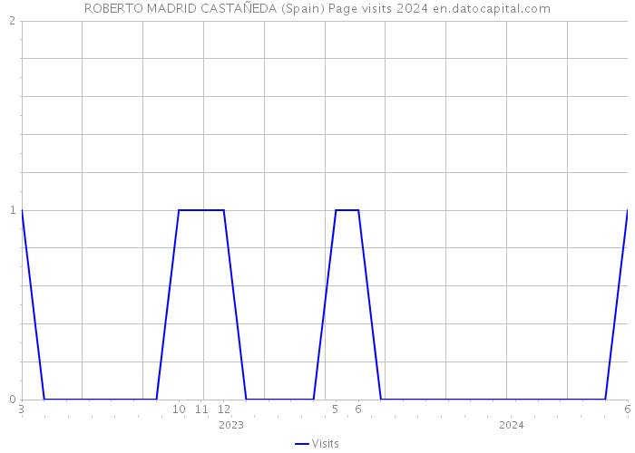 ROBERTO MADRID CASTAÑEDA (Spain) Page visits 2024 