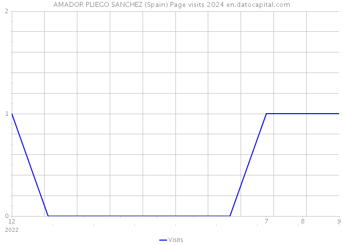 AMADOR PLIEGO SANCHEZ (Spain) Page visits 2024 