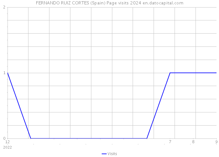 FERNANDO RUIZ CORTES (Spain) Page visits 2024 