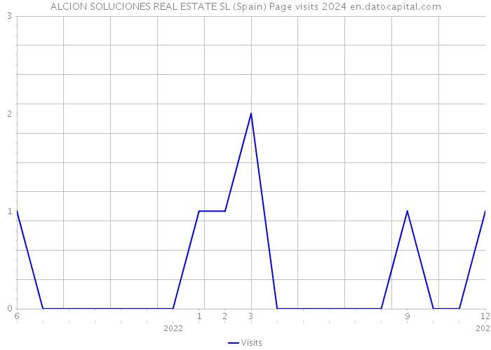 ALCION SOLUCIONES REAL ESTATE SL (Spain) Page visits 2024 