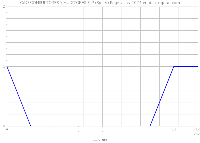 C&O CONSULTORES Y AUDITORES SLP (Spain) Page visits 2024 