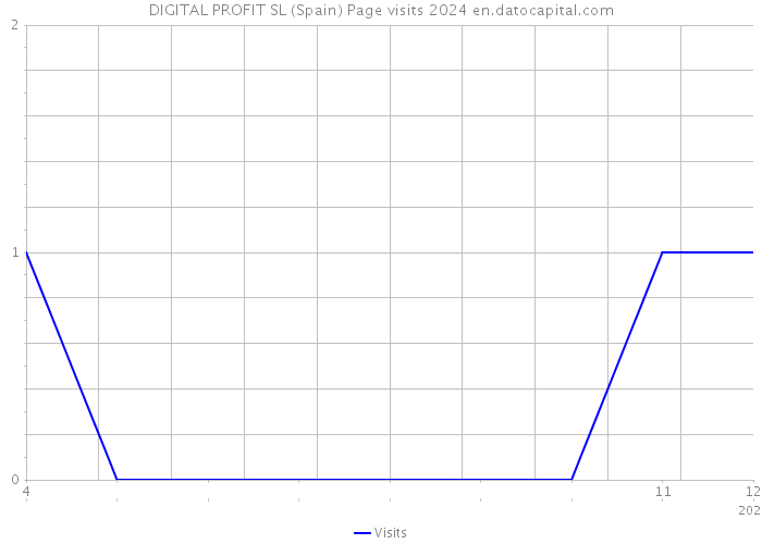 DIGITAL PROFIT SL (Spain) Page visits 2024 