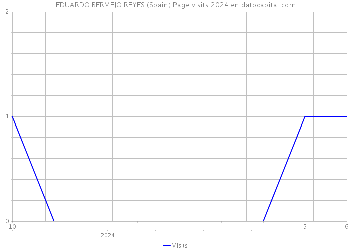 EDUARDO BERMEJO REYES (Spain) Page visits 2024 