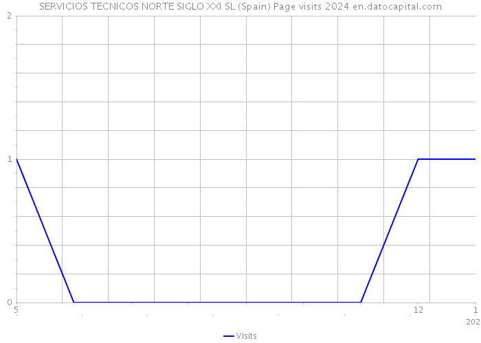 SERVICIOS TECNICOS NORTE SIGLO XXI SL (Spain) Page visits 2024 