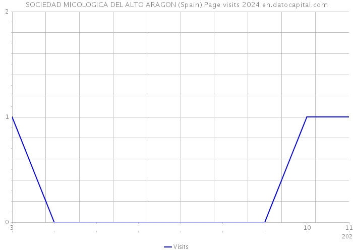 SOCIEDAD MICOLOGICA DEL ALTO ARAGON (Spain) Page visits 2024 