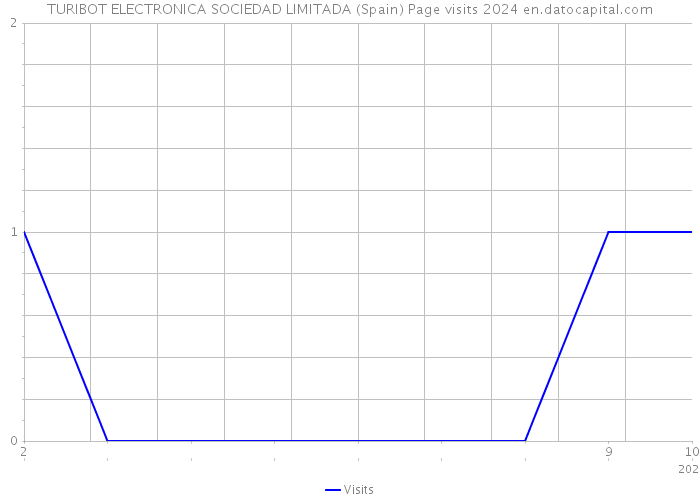 TURIBOT ELECTRONICA SOCIEDAD LIMITADA (Spain) Page visits 2024 