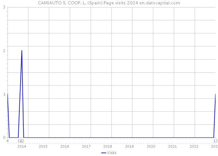 CAMIAUTO S. COOP. L. (Spain) Page visits 2024 