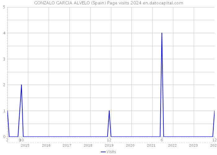 GONZALO GARCIA ALVELO (Spain) Page visits 2024 